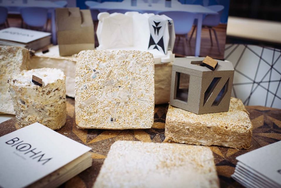 BIOHM biodegradable mycelium construction materials replacing conventional insulation — circular economy innovation UK